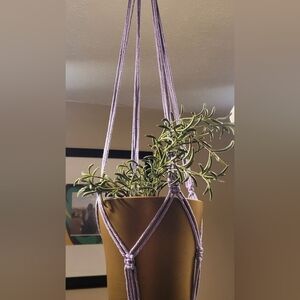 Macrame Plant Hanger ( Hazel)